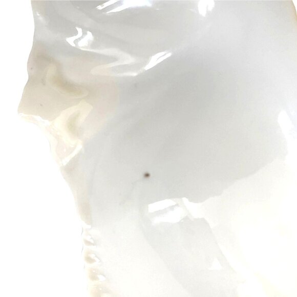 RS Prussia Porcelain Celery Relish Serving Dish Pink Rose Flower Floral Antique - Picture 11 of 15